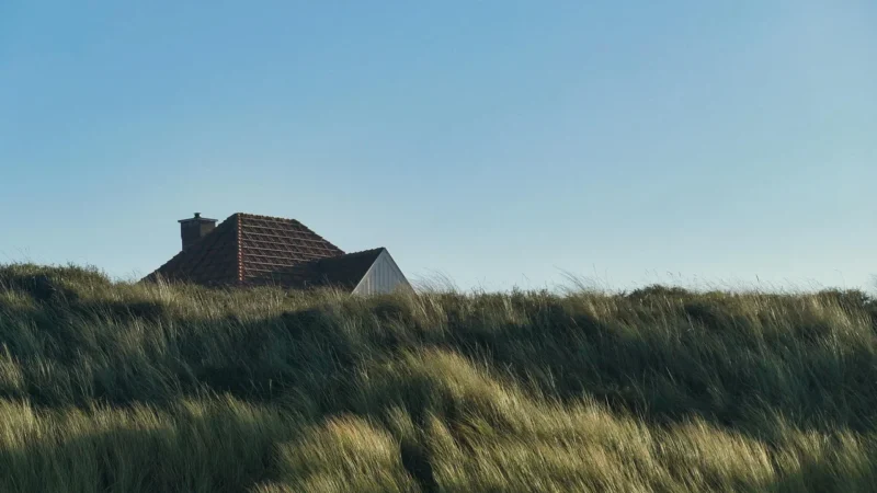 Samodzielny ogrodzony domek nad morzem — przewodnik kupującego