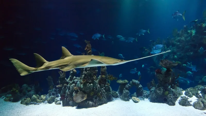 Oceanarium w Ustce — co warto zobaczyć z rodziną